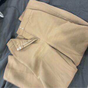 Zara Beige Pleated Trousers